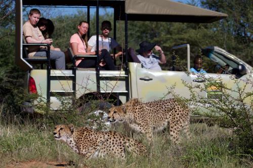 Hostal Babson House At Cheetah Conservation Fund