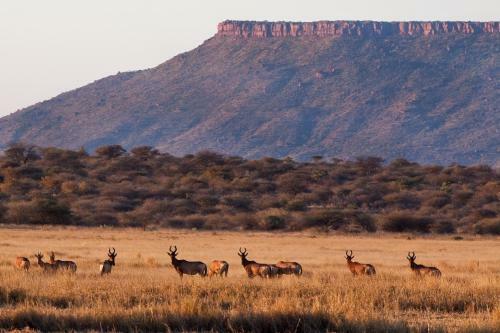 Hostal Waterberg Guest Farm