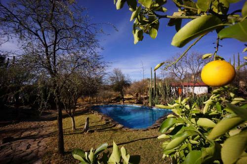 Eagle Rock Guest-farm And Business Lodge