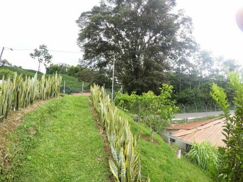 Sky Club Eco Hotel
