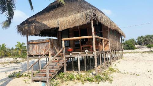 Pura Vida Lodge