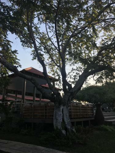 Hotel Ossanzaia Bilene Lodge