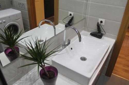 Apartamento Ananas City Center Studio 7
