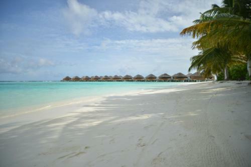 Hotel Vakarufalhi Maldives