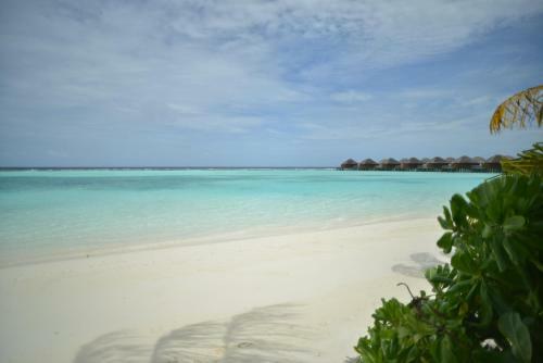 Hotel Vakarufalhi Maldives