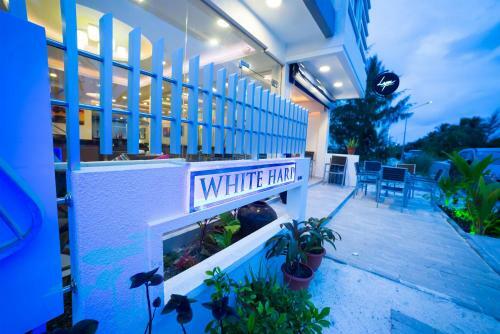 Hostal The White Harp Beach Hotel