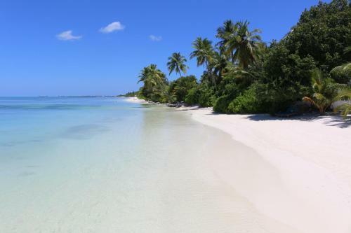 Hotel Canareef Resort Maldives