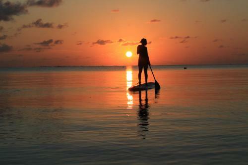 Hotel Canareef Resort Maldives