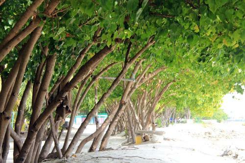 Hostal Rip Tide Vacation Inn, K.guraidhoo