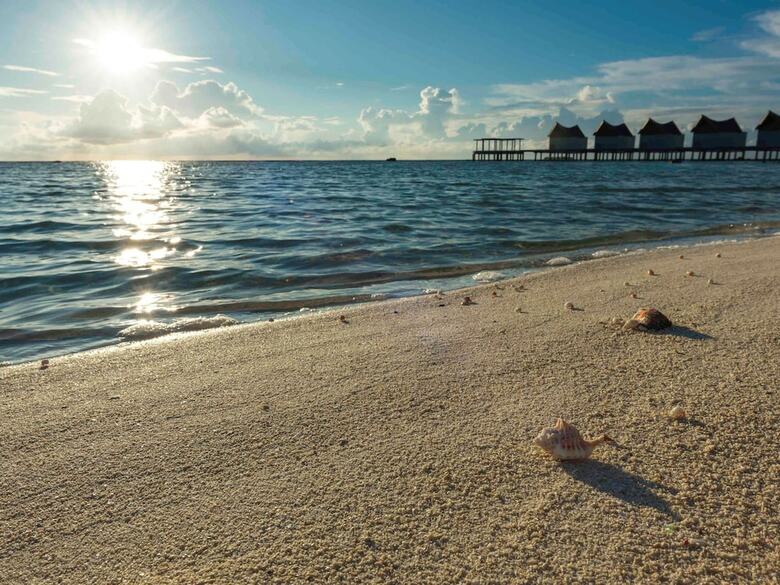 Hotel M?venpick Resort Kuredhivaru Maldives
