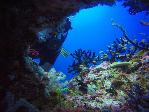 Hostal Equa Reef Maldives