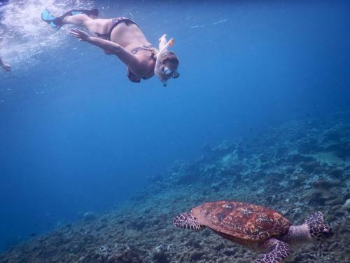 Hostal Equa Reef Maldives