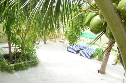 Hostal Whale Shark Inn