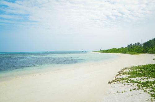 Hostal Whale Shark Inn