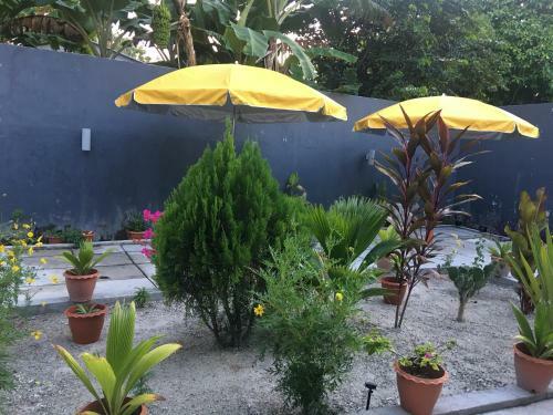 Hostal Equator Homestay