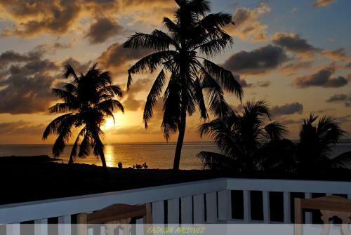 Hostal Faza View Inn