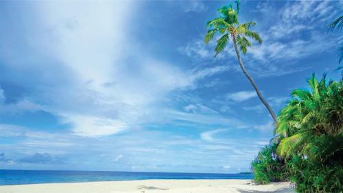 Hostal Calyx Grand Fuvahmulah