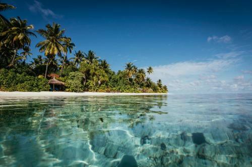 Hotel Robinson Club Maldives Adults Only