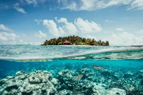 Hotel Robinson Club Maldives Adults Only