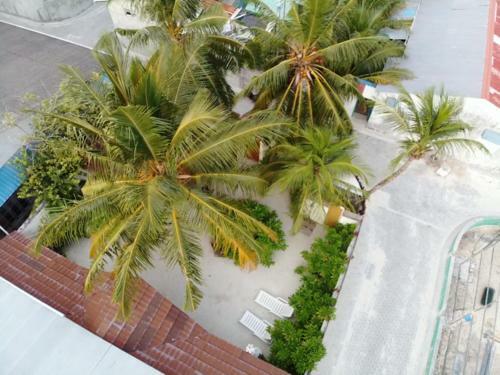 Hostal Sundive Lodge Maldives