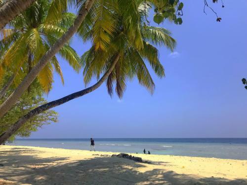 Hostal Sundive Lodge Maldives