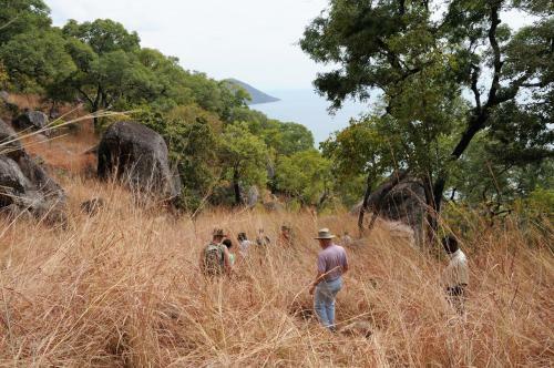 Safari Beach Lodge