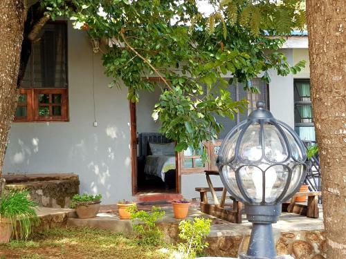 Bed & Breakfast Chinyonga Guesthouse