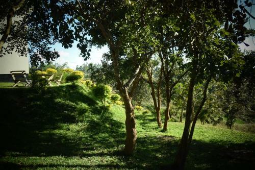 Bed & Breakfast Hill Of Grace