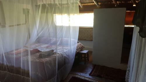 Mufasa Eco Lodge