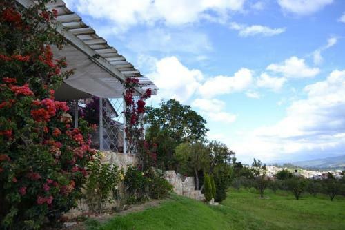 Hostal Miravalle Suites