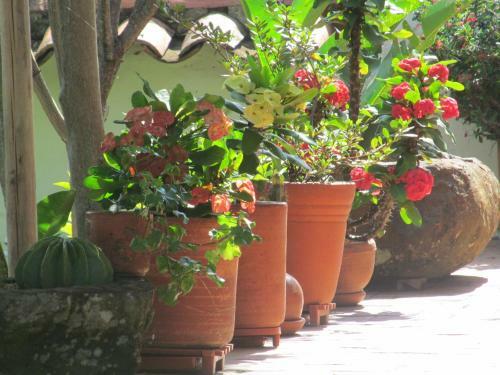 Hostal La Castiza