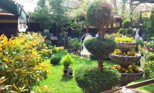 Hotel Gala-garden