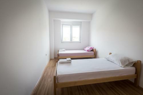 Apartamento Cane