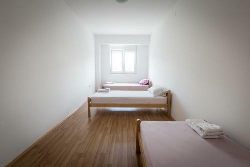 Apartamento Cane