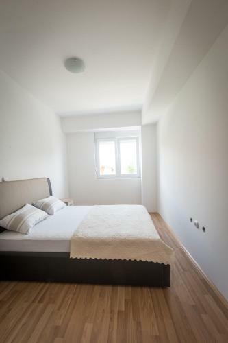 Apartamento Cane