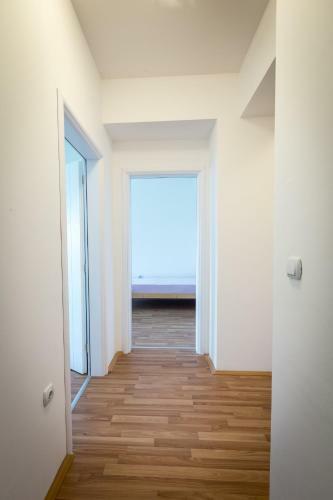 Apartamento Cane