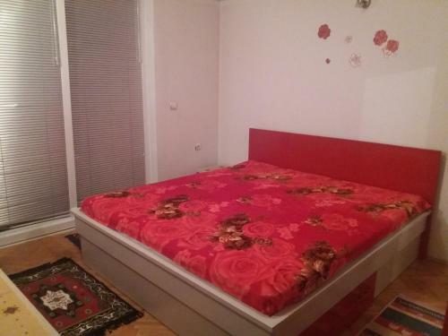Central Apartment