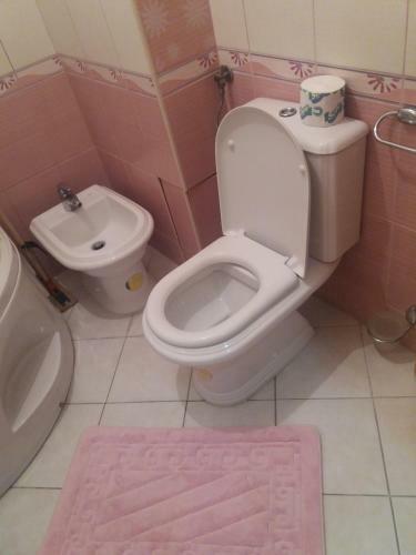 Central Apartment