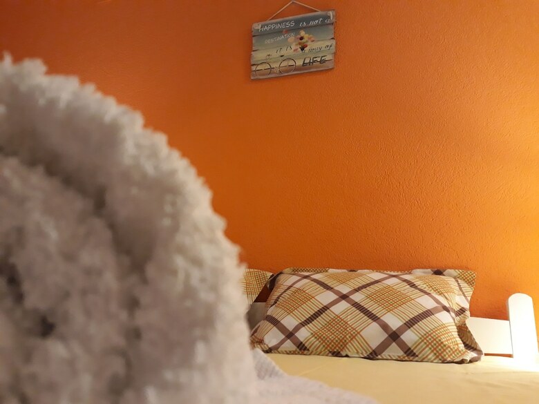 Hostal Vila & Apartments Matea