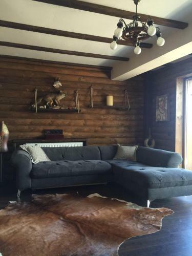 Perfect Lodge House Mavrovo