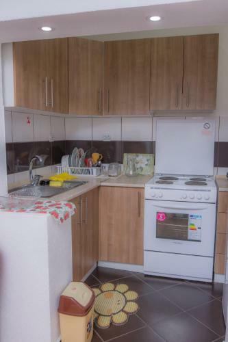 Apartment Antigona