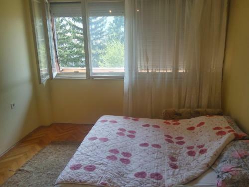 Downtown Apartment With Great Views