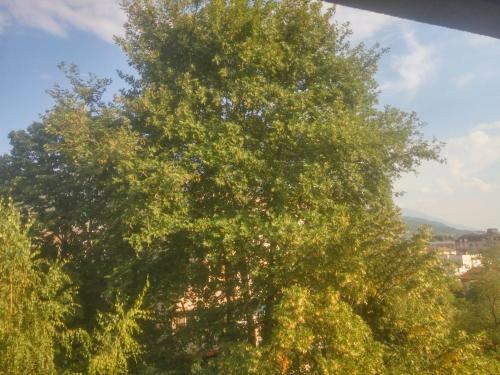 Downtown Apartment With Great Views