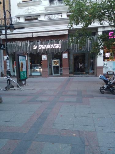 The Most Central Skopje Apartment