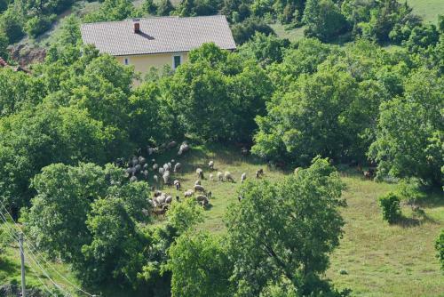 Hostal Talec Guests House
