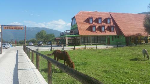 Agroturismo Nora`s Ranch