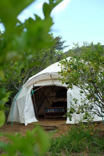 La Pacha Hostel