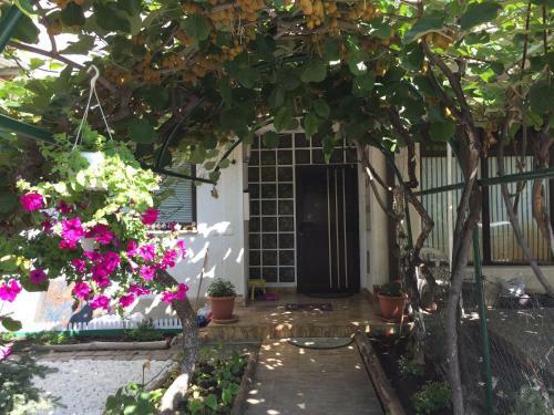 Apartamento Mango Residence