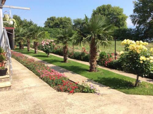 Hostal Apartment Slavica