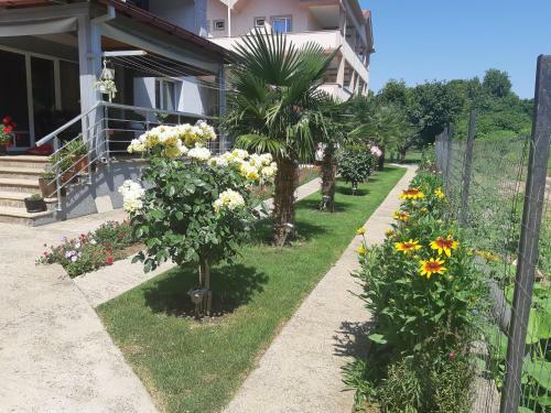 Hostal Apartment Slavica